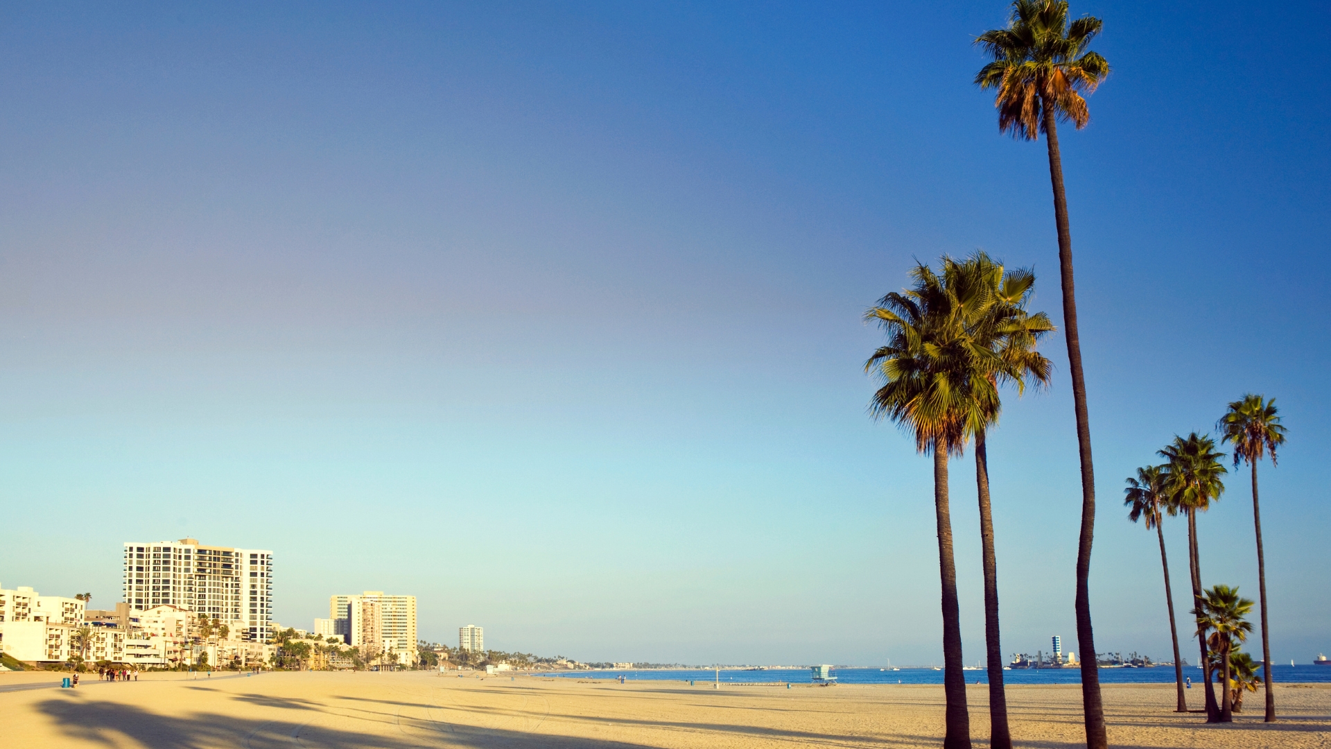 Long Beach, California shoreline and skyline near the Port, served by a Long Beach employment lawyer