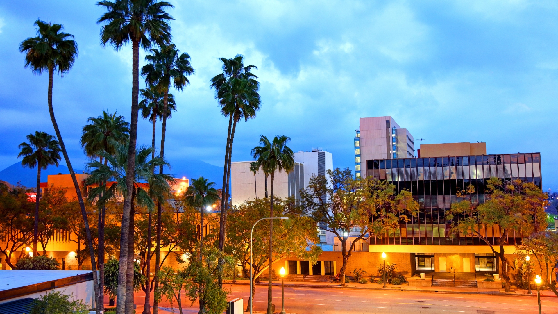 Downtown San Bernardino skyline with palm trees at dusk