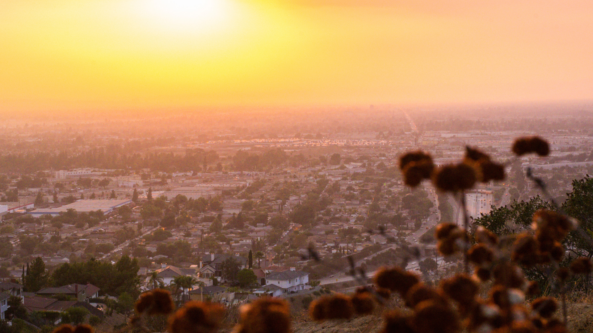 Golden sunset over San Fernando Valley neighborhoods and freeways, home to employees a Woodland Hills employment lawyer serves